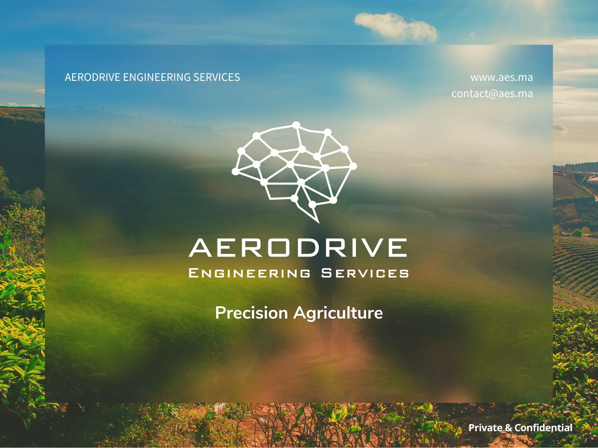 agri-drone-businesscase1