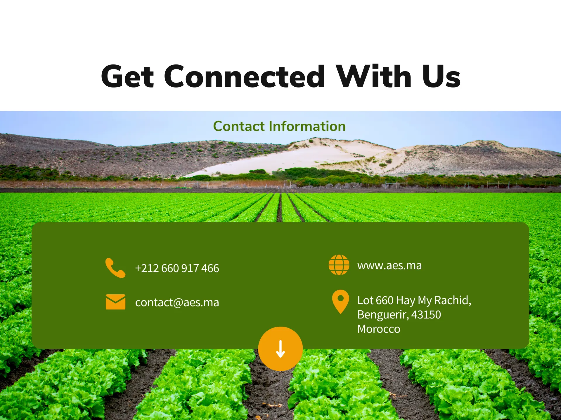 agri-drone-businesscase11